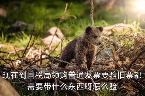 發(fā)票驗(yàn)舊都需要帶什么，現(xiàn)在到國稅局領(lǐng)購普通發(fā)票要驗(yàn)舊票都需要帶什么東西呀怎么驗(yàn)