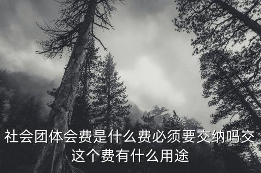 社會團體費是什么，誰知道工商個體協(xié)會社會團體會員費是什么