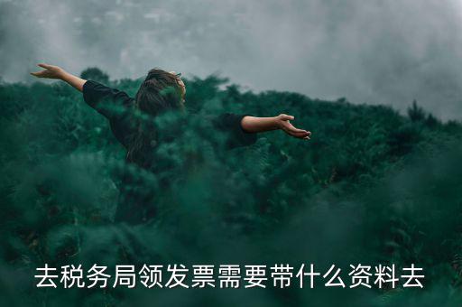 領(lǐng)電子發(fā)票需要帶什么資料，去稅務(wù)局領(lǐng)發(fā)票需要帶什么資料去