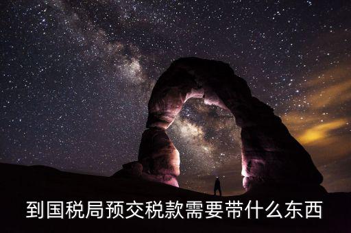 預(yù)繳稅金需要什么資料，到國(guó)稅局預(yù)交稅款需要帶什么東西