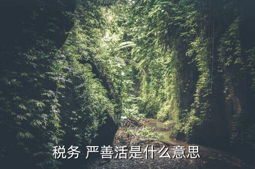 中國(guó)稅務(wù)精神是什么意思，稅務(wù)是什么意思啊學(xué)什么內(nèi)容