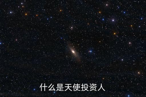 什么叫天使投資個(gè)人，天使投資人什么意思