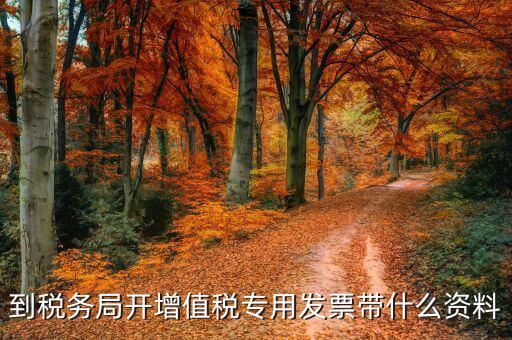 到稅務(wù)局開(kāi)增值稅專(zhuān)用發(fā)票帶什么資料