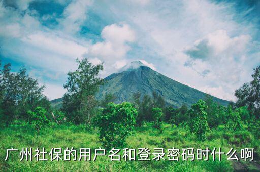 地稅社保用戶名是什么，南京這邊可以國稅扣稅款一個賬號基本戶地稅扣款比如社保