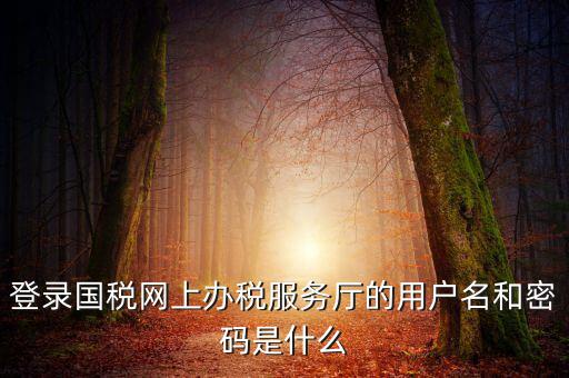 稅務(wù)登陸密碼是什么意思，國(guó)稅第一次網(wǎng)上申報(bào)的登陸密碼是什么