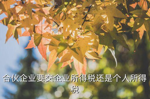 合伙企業(yè)交什么稅嗎，合伙企業(yè)要交企業(yè)所得稅嗎