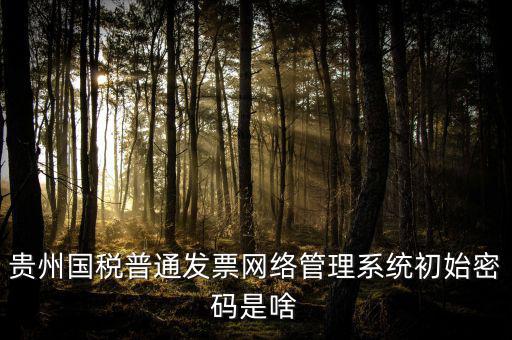 貴州國稅普通發(fā)票網絡管理系統初始密碼是啥