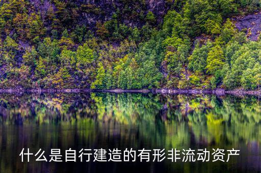 什么叫自建不動產(chǎn)，自建不動產(chǎn)不共擔(dān)風(fēng)險(xiǎn)的投資行為