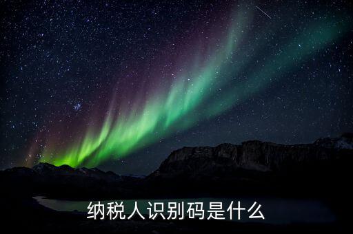 稅務(wù)人識(shí)別號(hào)是什么意思，稅納人識(shí)別號(hào)是什么東東