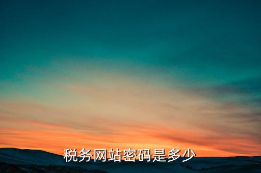 國(guó)稅網(wǎng)登錄密碼是什么，稅務(wù)局網(wǎng)站的登入賬戶初始密碼是什么
