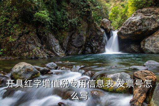 紅字信息表編號(hào)填什么，開具紅字增值稅專用信息表 發(fā)票號(hào)怎么寫