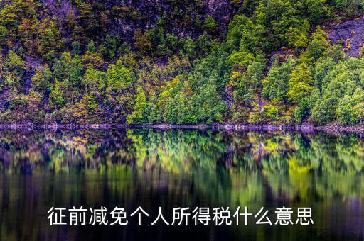 減免所得稅是什么意思，征前減免個(gè)人所得稅什么意思