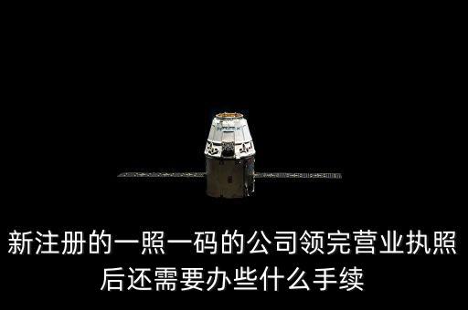 一照一碼后還需辦什么，網(wǎng)上申請(qǐng)一照一碼必須要經(jīng)辦人的U盾嗎