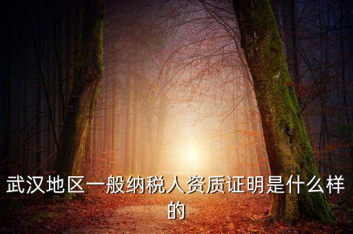 納稅資質(zhì)證明是什么意思，什么是稅務證明