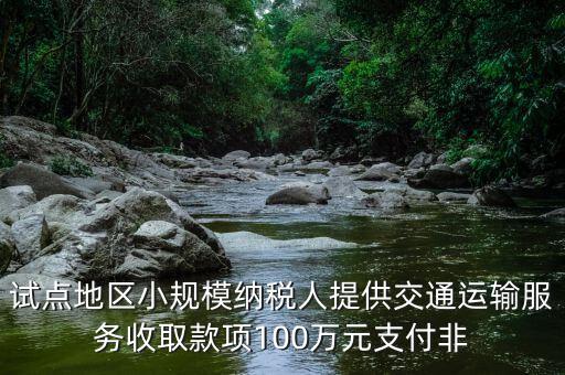 什么向試點地區(qū)納稅人支付費用，4試點地區(qū)內(nèi)一般納稅人向試點地區(qū)內(nèi)一般納稅人支付費用取得增值