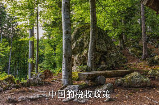 中國(guó)稅收政策是什么，我國(guó)的稅收政策是什么