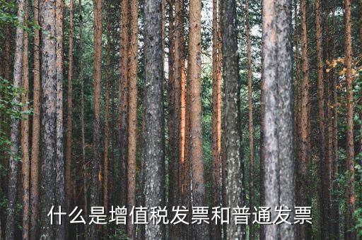 增值稅普通發(fā)票卷票是什么，卷票和普通增值稅發(fā)票有什么區(qū)別嗎