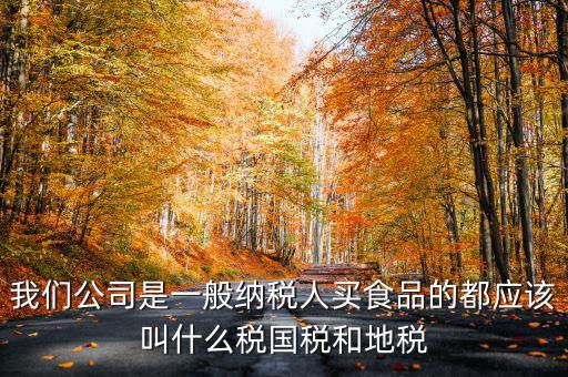 國稅叫什么公司，我們公司是一般納稅人買食品的都應(yīng)該叫什么稅國稅和地稅