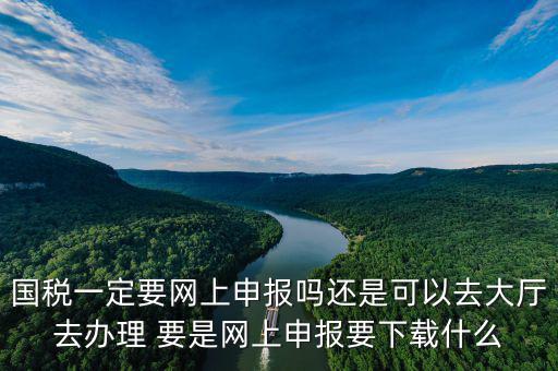 地稅進(jìn)國(guó)稅要下載什么，深圳國(guó)地稅想網(wǎng)上申報(bào)要下載什么東西嗎
