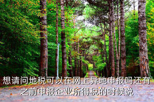什么叫異地稅，想請問地稅可以在網(wǎng)上異地申報嗎還有之前申報企業(yè)所得稅的時候說
