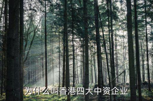 什么叫中資控股企業(yè)，為什么叫香港四大中資企業(yè)