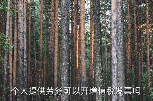 什么是個(gè)人勞務(wù)發(fā)票嗎，個(gè)人開工程勞務(wù)費(fèi)發(fā)票是在工程所在地開具嗎