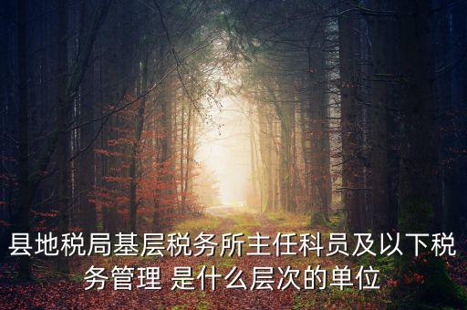 地稅局主任干什么，在地稅局工作寫材料具體是怎么工作