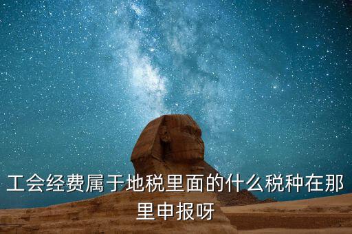 工會活動費中稅是什么，工會經(jīng)費屬于地稅里面的什么稅種在那里申報呀