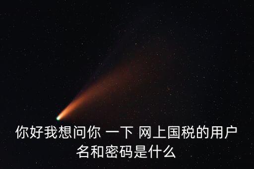 國(guó)稅的登錄密碼是什么意思，國(guó)稅第一次網(wǎng)上申報(bào)的登陸密碼是什么