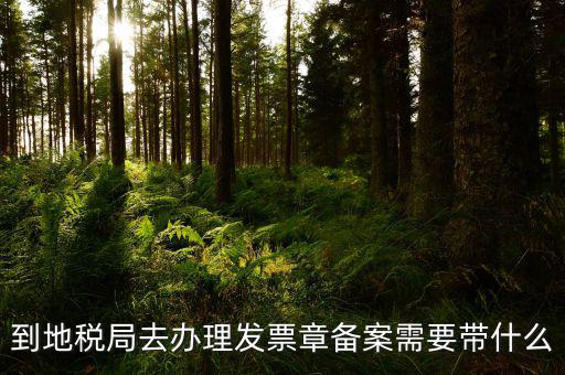 去地稅局備案需要什么，地稅備案需要什么資料