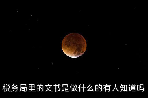 稅務(wù)文書是什么，急需稅務(wù)文書格式