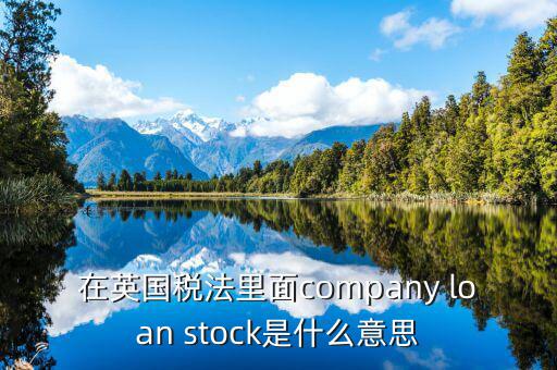 英國出國稅 是什么意思，在英國稅法里面company loan stock是什么意思