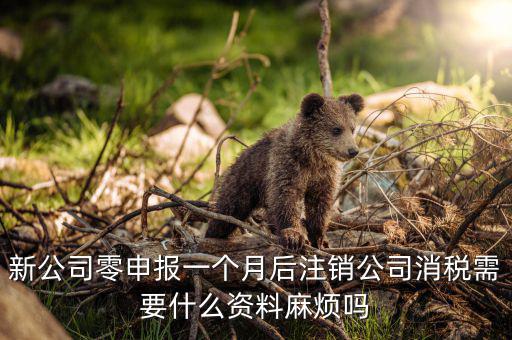 注銷稅盤需要什么資料，新公司零申報(bào)一個(gè)月后注銷公司消稅需要什么資料麻煩嗎