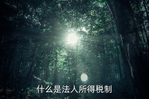 什么是法人企業(yè)所得稅，百度如何理解企業(yè)所得稅應(yīng)該稱之為法人所得稅