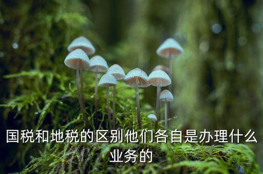 地稅是辦理什么業(yè)務(wù)的，企業(yè)在地稅局主要辦理什么業(yè)務(wù)呢