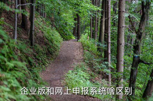 為什么要用單機(jī)版報稅，網(wǎng)上報個人所得稅填寫的步驟