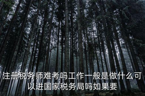什么是稅務(wù)師，注冊(cè)稅務(wù)師能干什么待遇怎么樣