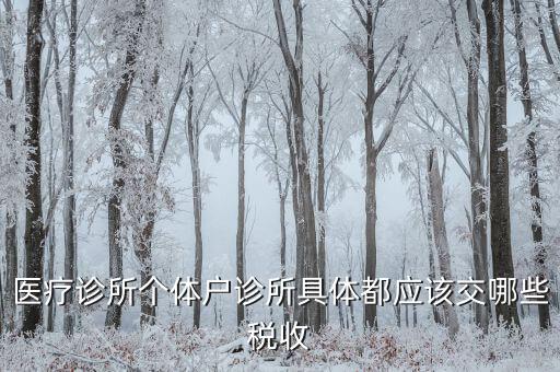 醫(yī)健護航都交什么稅，醫(yī)療診所個體戶診所具體都應該交哪些稅收