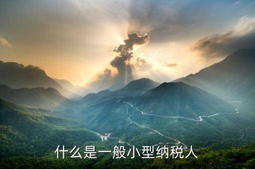 什么是小型納稅人，增值稅小規(guī)模納稅人指什么以及它的具體劃分標準是