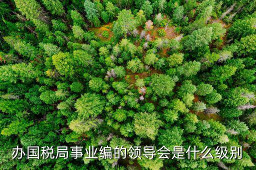 國(guó)稅局主任是什么職位，國(guó)稅局辦公室人員