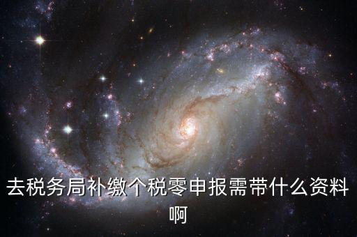 補繳個稅需要什么資料，去稅務(wù)局補繳個稅零申報需帶什么資料啊