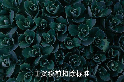 什么是稅前扣除標準，請問差旅費稅前扣除標準是什么