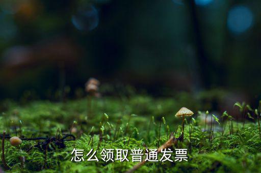 普通發(fā)票在什么地方領，怎么領取普通發(fā)票
