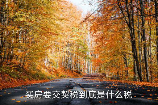 契稅的征稅范圍是什么，契稅的征稅范圍主要有哪些
