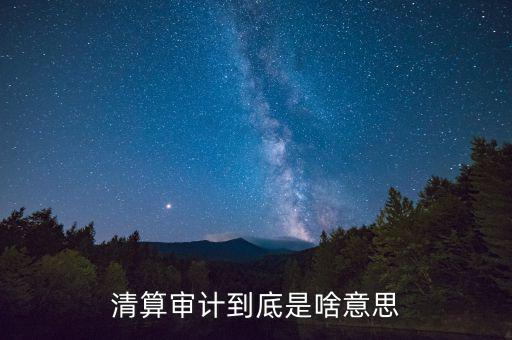 什么是申報清冊，電子稅務(wù)廳的重新獲取申報清冊是什么意思