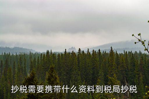 報(bào)稅查什么輔導(dǎo)信息，剛申請為一般納稅人在哪查看是否要經(jīng)過輔導(dǎo)期納稅申報(bào)初始化填5