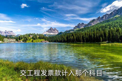 工程發(fā)票的單位是什么，開工程票是在國稅還是地稅代開