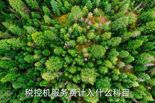稅控算什么費(fèi)，稅控機(jī)服務(wù)費(fèi) 包括哪些增值的服務(wù)費(fèi)啊到底要收多少