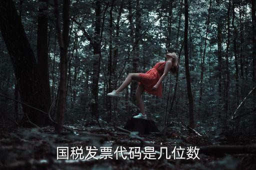 發(fā)票代碼是什么位置，國(guó)稅普票代碼是幾位數(shù)字在什么位置