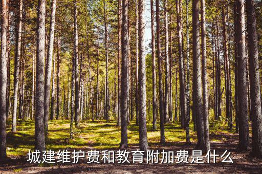 城市維護(hù)費(fèi)是什么，城市建設(shè)維護(hù)費(fèi) 城鄉(xiāng)建設(shè)維護(hù)費(fèi) 兩者區(qū)別